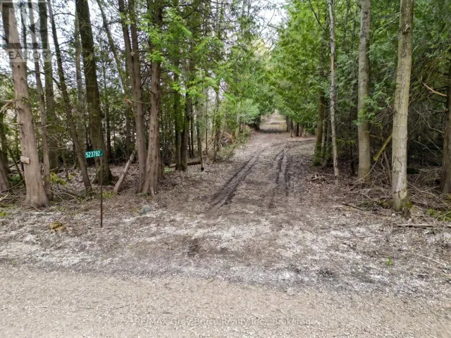 Driveway to lot