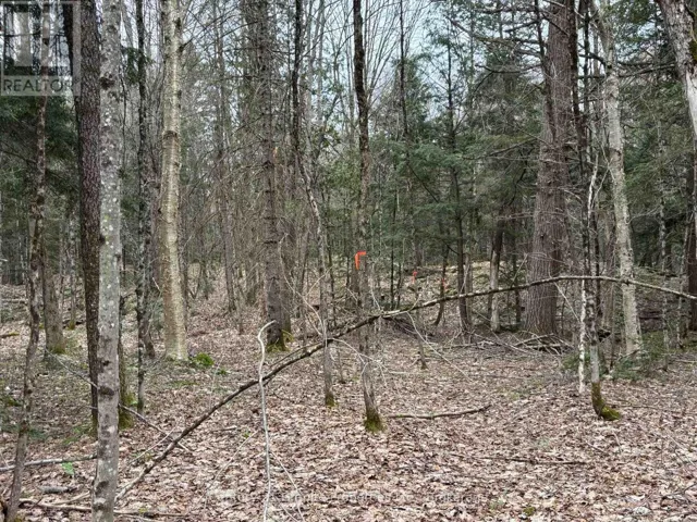 LOT 1 LOCH ERNE ROAD, McDougall, Ontario P2A2W7