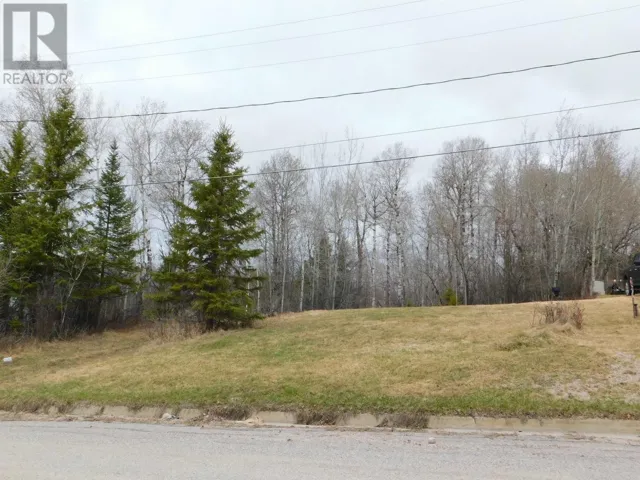 113 Third ST, Dryden, Ontario P8N2V8