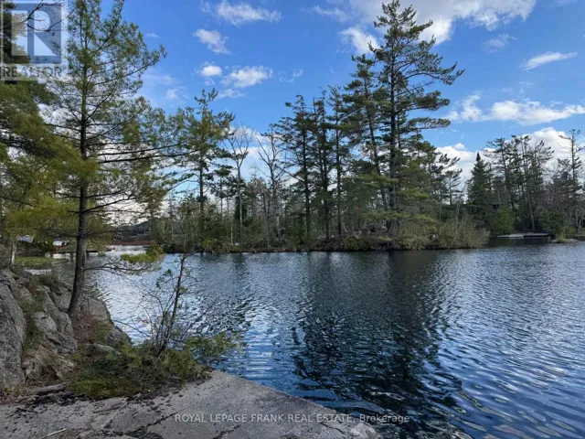 164 HILL DRIVE, Trent Lakes, Ontario K0L1J0