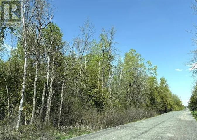 11865 (PTLT23) ARMSTRONG ROAD, North Dundas, Ontario K0C2K0