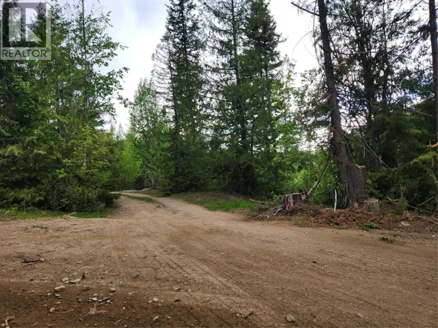 LS 13 OF SEC 8 TP 23 R 10 Leopold Road, Celista, British Columbia V0E1M6
