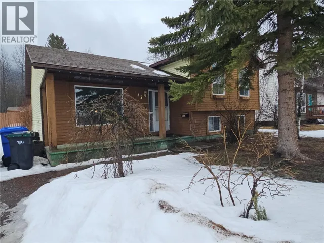 143 Kiskatinaw Crescent, Tumbler Ridge, British Columbia V0C2W0