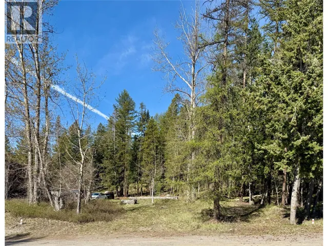 205A Norton Avenue, Kimberley, British Columbia V1A1Y1