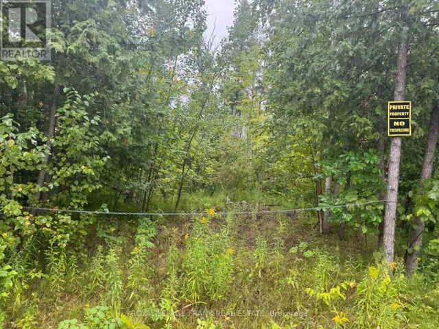 LOT 38 SUMCOT DRIVE, Trent Lakes, Ontario K0L1J0