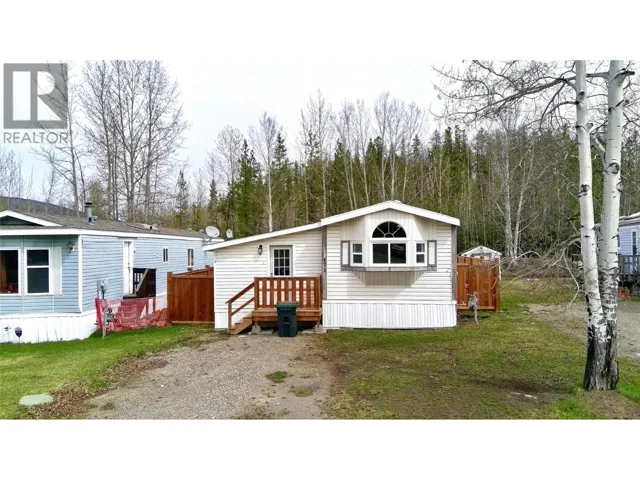 171 Meikle Avenue, Tumbler Ridge, British Columbia V0C2W0