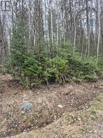 LOT 5 ARBUTUS TRAIL, Mattawan, Ontario P0H1V0