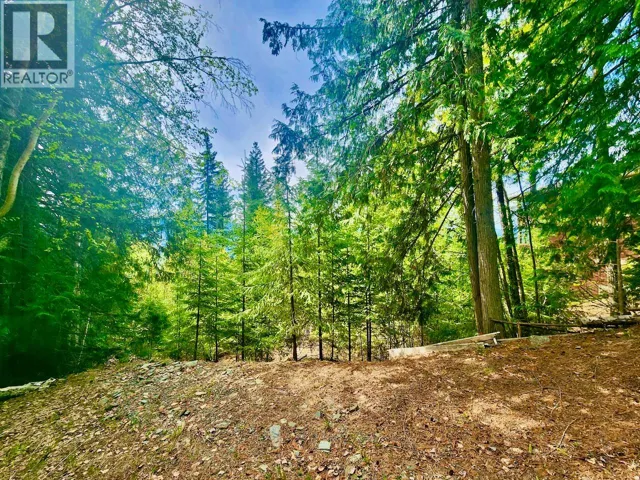 LOT 46 Lichen Road Lot# 46, Anglemont, British Columbia V0E1M8