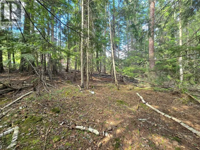 Lot C Kane Road, Nelson, British Columbia V1L6S9