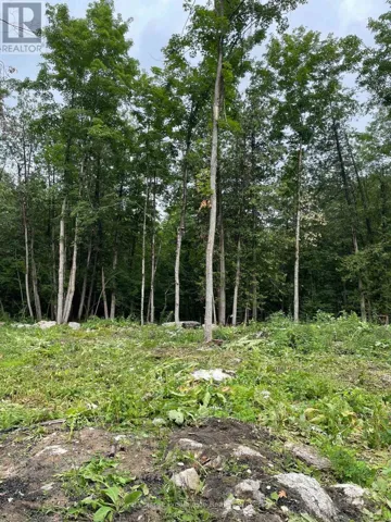 378 STATION ROAD, Marmora and Lake (Marmora Ward), Ontario K0K2M0
