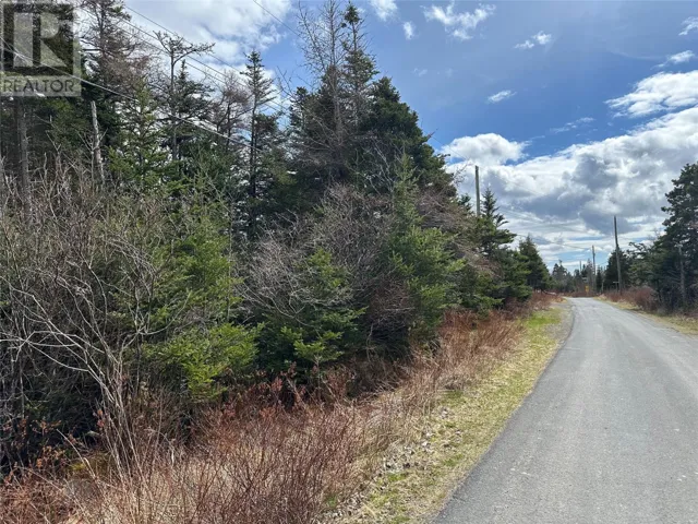 25-47 Barry's Island North, Avondale, Newfoundland & Labrador A0A1B0