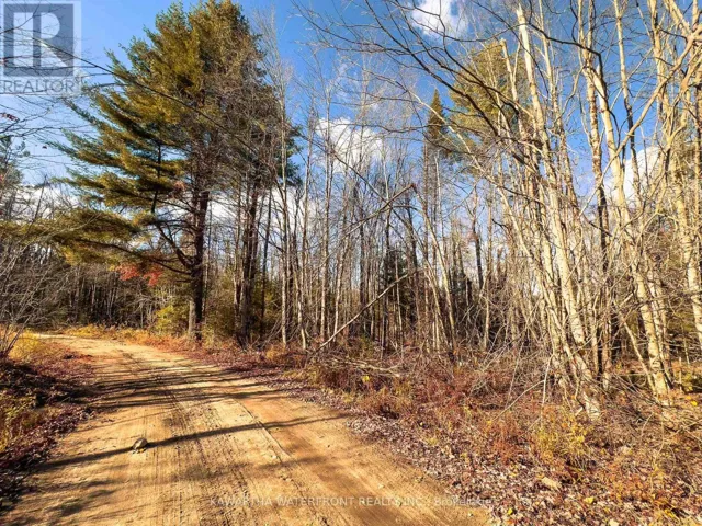 0 WEISMULLER LANE, Bracebridge (Draper), Ontario P1P1R3