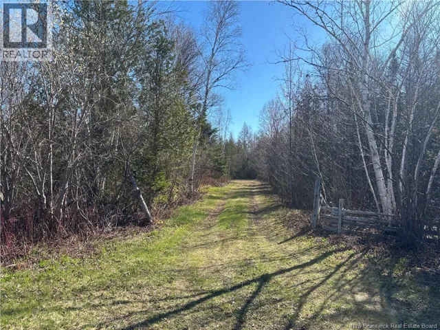 11.98 Acres Chemin Tremblay, Tremblay, New Brunswick E8J1A6