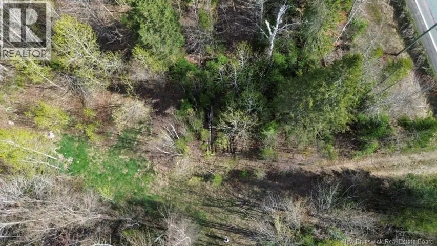 LOT Route 126, Harcourt, New Brunswick E4T2Z5