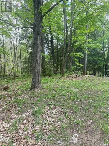 3460 HARBURN ROAD, Dysart et al (Harburn), Ontario K0M1M0