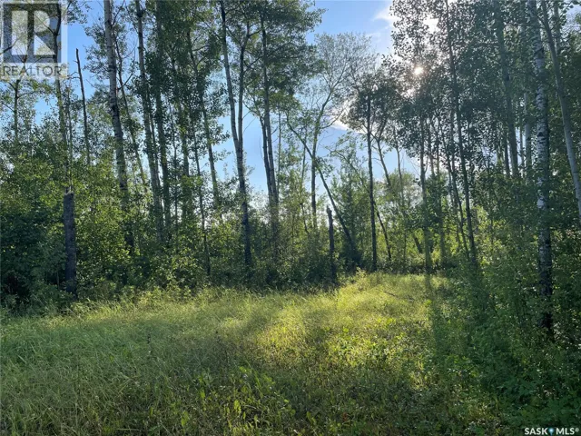 9 Northwood CRESCENT, Big River Rm No. 555, Saskatchewan S0J0E0