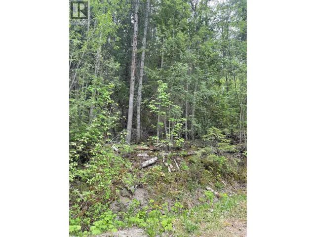 Greaves Road Lot# 24, Eagle Bay, British Columbia V0E1T0