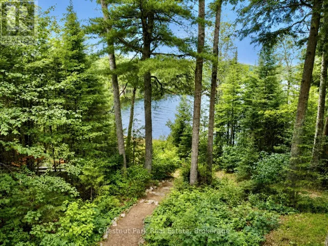 780
