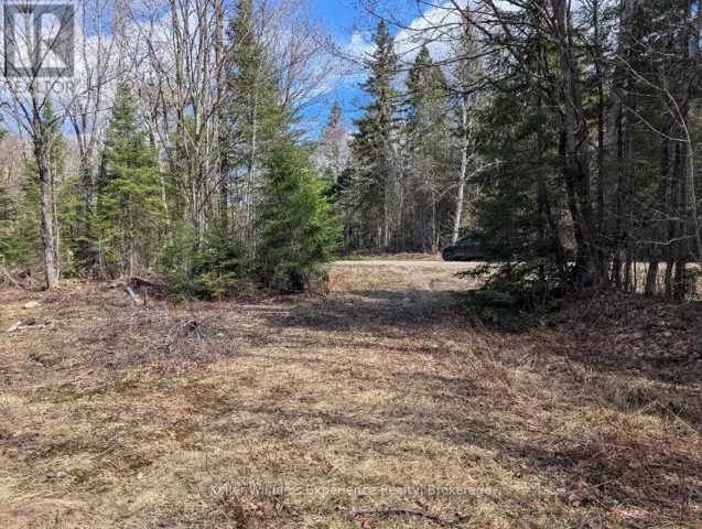 1397 ECHO RIDGE ROAD, Kearney, Ontario P0A1M0