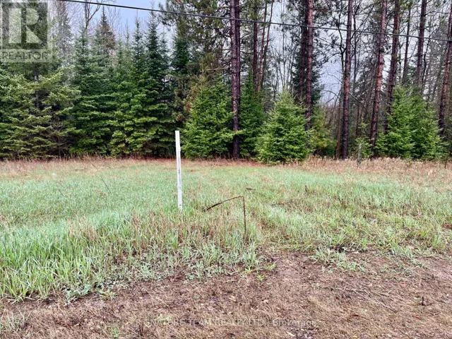 00 FOYMOUNT ROAD, Bonnechere Valley, Ontario K0J1T0