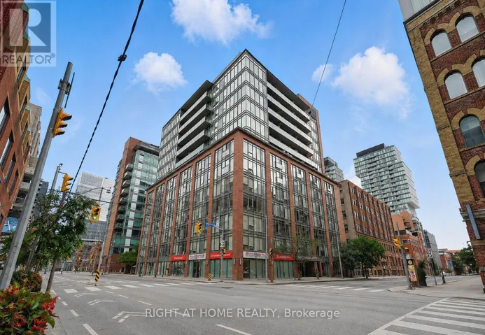 206 - 205 FREDERICK STREET, Toronto (Moss Park), Ontario M5A4V3