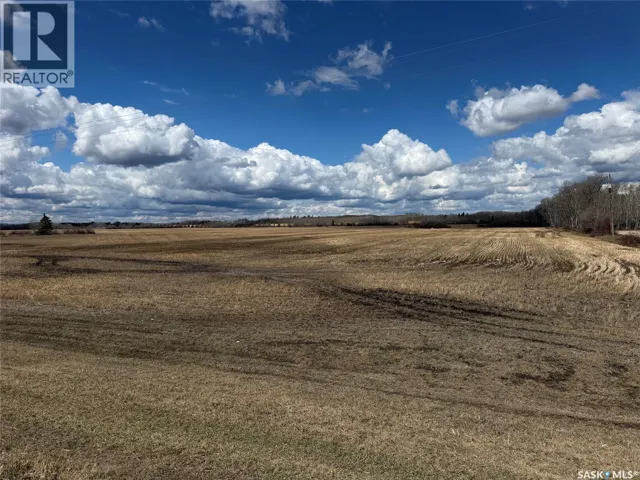 Borowetz, Hudson Bay Rm No. 394, Saskatchewan S0E0Y0