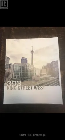 807 - 393 KING STREET W, Toronto (Waterfront Communities), Ontario M5V3G8