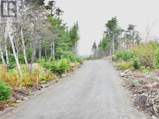 Lot 4 Second Pond Road, Shearstown / Butlerville, Newfoundland & Labrador A0A1G0