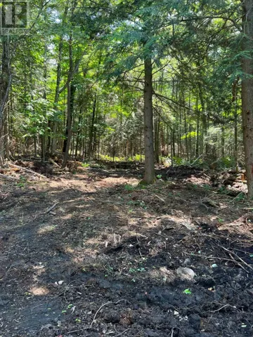 LOT 29 WEST COURT, Dysart et al (Guilford), Ontario K0M1S0