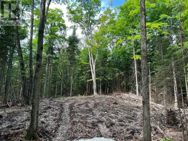 LOT 26 WEST COURT, Dysart et al (Guilford), Ontario K0M1S0