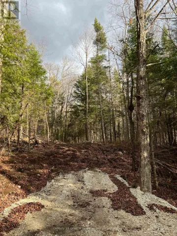 LOT 27 BUSHWOLF LAKE ROAD, Dysart et al (Guilford), Ontario K0M1S0