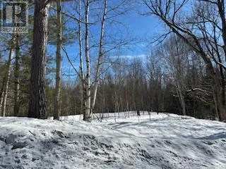 9 - PART 6 OF PART OF LOT 18 CONCESSION, Lake of Bays (Mclean), Ontario P0B1A0