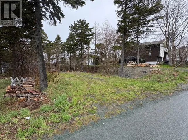 14 Browns Lane, Conception Bay South, Newfoundland & Labrador A1W4C3
