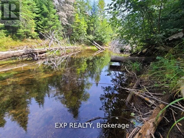 PT LT 8 OLD BARRY'S BAY ROAD, Madawaska Valley, Ontario K0J1L0
