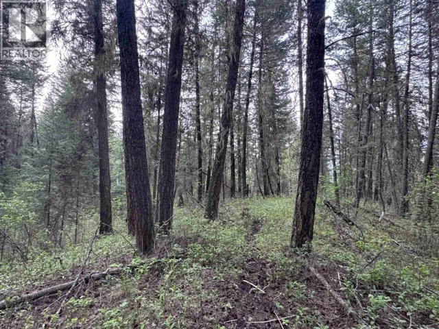550 DOG CREEK ROAD, Williams Lake, British Columbia V2G3P9