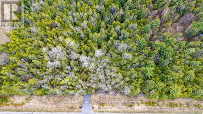 0 HIGHWAY 41 HIGHWAY, Bonnechere Valley, Ontario K0J1T0