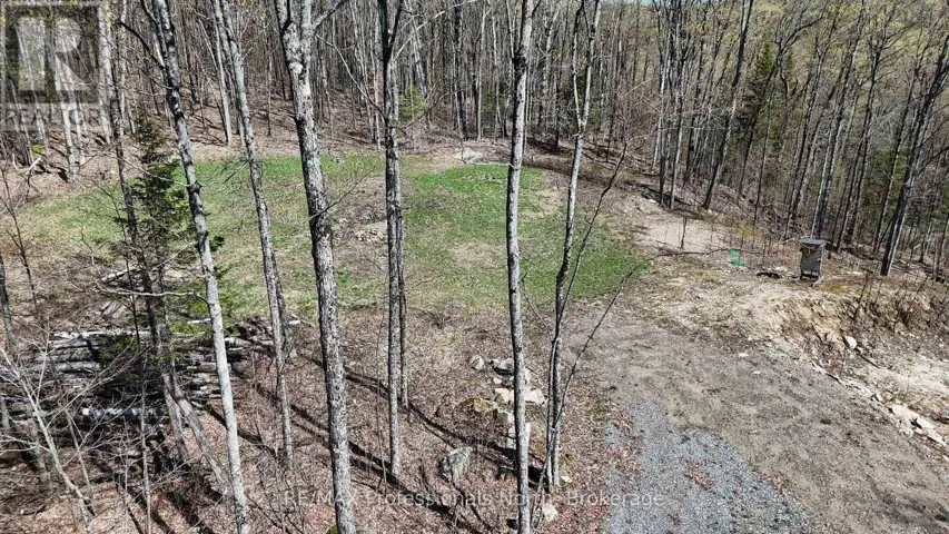 1199 CEDAR LAKE ROAD, Highlands East (Monmouth), Ontario K0L3C0