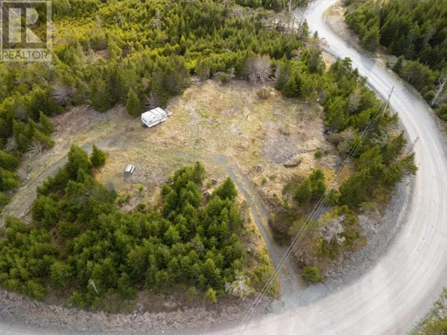 16 Deer Park Road, Salmonier Line, Newfoundland & Labrador A1Y1C6