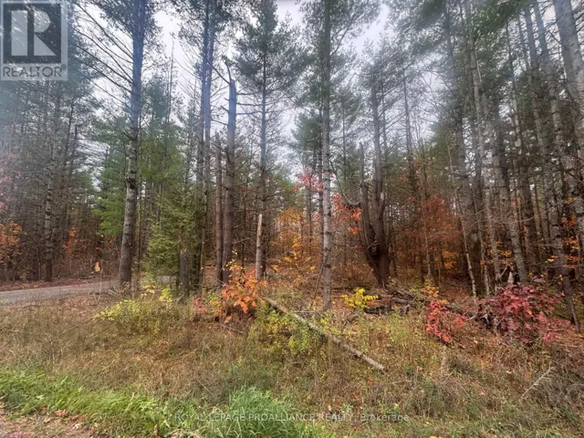 945 SHANICK ROAD, Marmora and Lake (Marmora Ward), Ontario K0K2M0