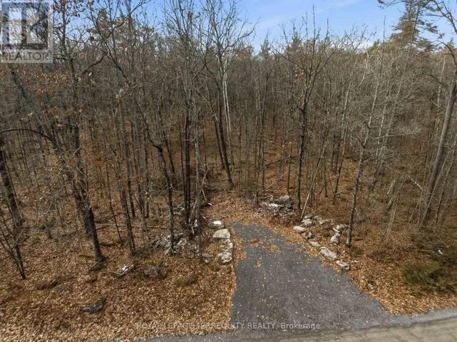 64 MAPLE ROAD, Marmora and Lake (Marmora Ward), Ontario K0K2M0