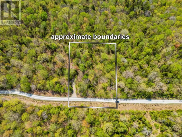 Lot 1 Chemin Theriault Point Road, Belliveaus Cove, Nova Scotia B0W1M0