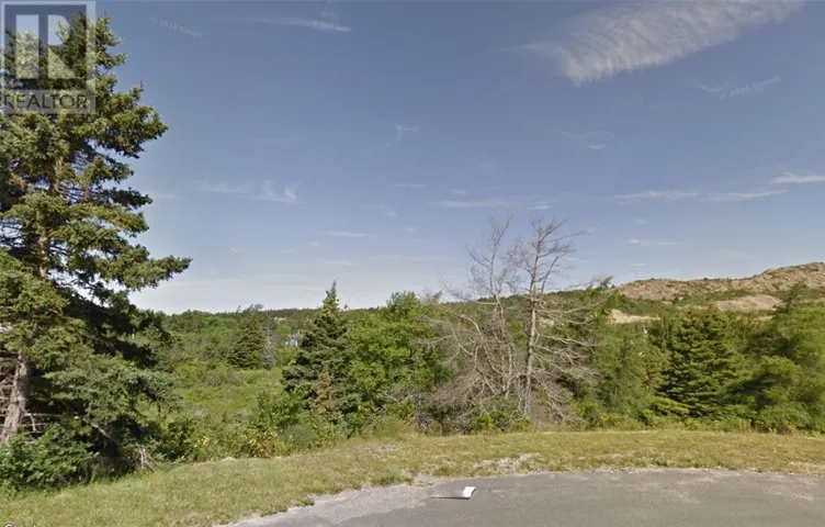 14 Blueberry Place, Brigus, Newfoundland & Labrador A0A1K0