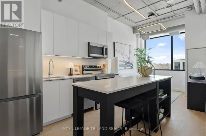 209 - 685 RICHMOND STREET, London East (East F), Ontario N6A5M1