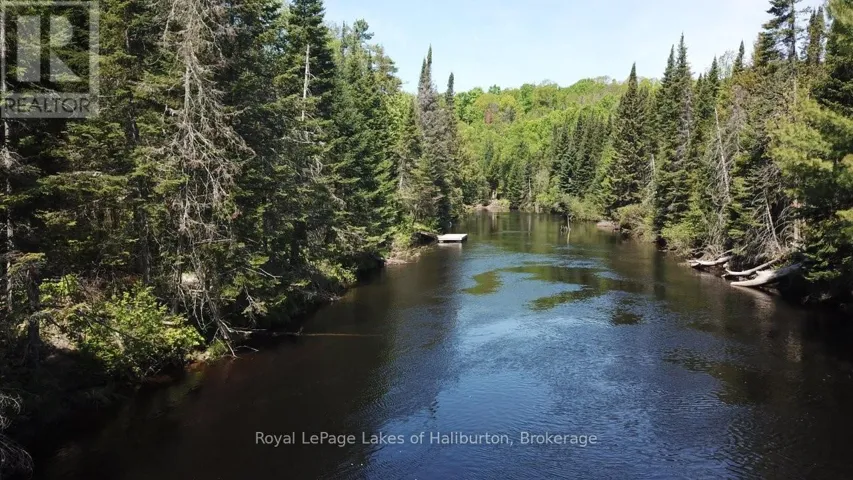 1880 BOLDTS LANE, Minden Hills (Snowdon), Ontario K0M2A1