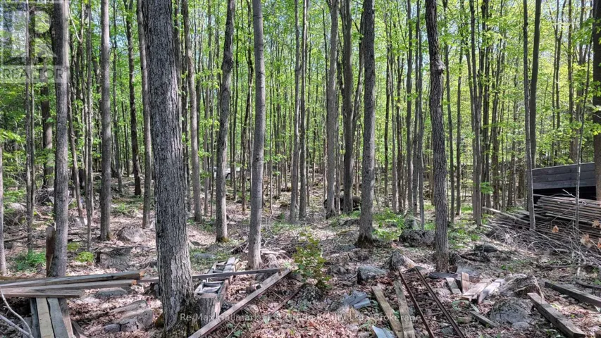 LOT 15 JAMES STREET, Tweed (Hungerford (Twp)), Ontario K0K2L0