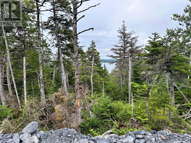 9-10 Pikes Road, Spread Eagle, Newfoundland & Labrador A0B2W0