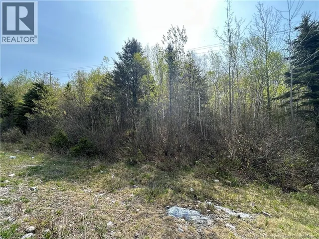 Golden Grove Mountain, Rothesay, New Brunswick E2H2X1