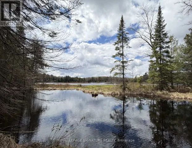 1170 PETER ROAD, Bracebridge (Macaulay), Ontario P1L1X3