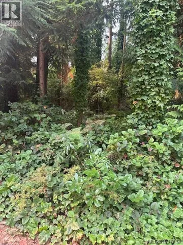 156 Harlech Rd, Qualicum Beach, British Columbia V9K1G9