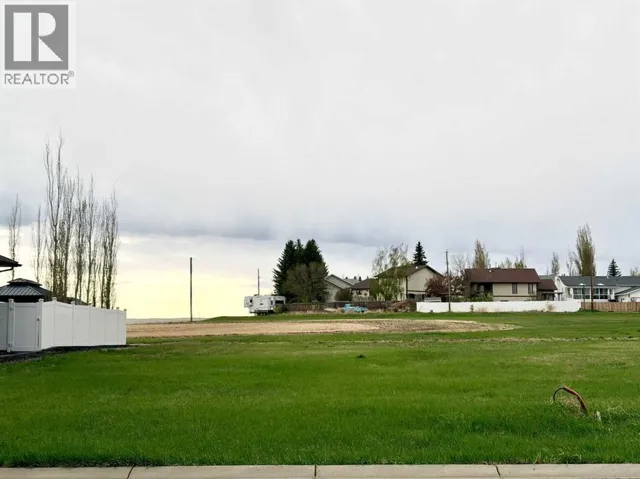 1113 5A Avenue SE, Three Hills, Alberta T0M2A0